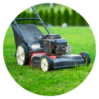 lawn care market research